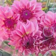 ヒメ日記 2025/12/30 10:28 投稿 とわこ 松本人妻隊