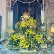 ヒメ日記 2026/01/03 14:33 投稿 とわこ 松本人妻隊