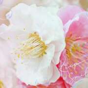 ヒメ日記 2026/02/17 03:33 投稿 とわこ 松本人妻隊