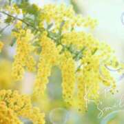 ヒメ日記 2026/02/28 14:14 投稿 とわこ 松本人妻隊