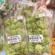 ヒメ日記 2026/03/19 20:03 投稿 とわこ 松本人妻隊