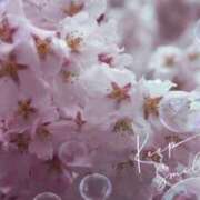 ヒメ日記 2026/04/05 19:55 投稿 とわこ 松本人妻隊