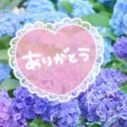 ヒメ日記 2026/06/16 22:26 投稿 とわこ 松本人妻隊