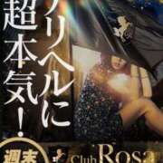ヒメ日記 2024/02/11 12:07 投稿 小倉みき【責め好き必見美女】 Club Rosa