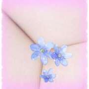 ヒメ日記 2025/02/01 16:48 投稿 まこと 横浜人妻ヒットパレード（シンデレラグループ）