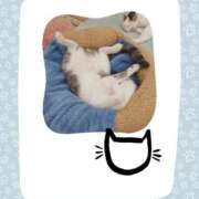 ヒメ日記 2025/02/22 21:33 投稿 まこと 横浜人妻ヒットパレード（シンデレラグループ）