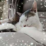 ヒメ日記 2025/04/12 13:05 投稿 まこと 横浜人妻ヒットパレード（シンデレラグループ）