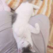 ヒメ日記 2025/05/18 10:48 投稿 まこと 横浜人妻ヒットパレード（シンデレラグループ）