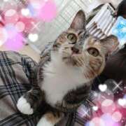 ヒメ日記 2026/01/03 21:15 投稿 まこと 横浜人妻ヒットパレード（シンデレラグループ）