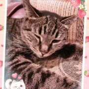 ヒメ日記 2026/02/22 23:48 投稿 まこと 横浜人妻ヒットパレード（シンデレラグループ）