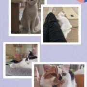 ヒメ日記 2026/07/20 16:46 投稿 まこと 横浜人妻ヒットパレード（シンデレラグループ）