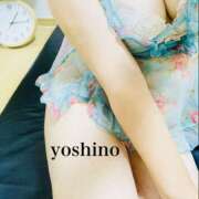 ヒメ日記 2025/11/13 01:30 投稿 吉野ひめか 色気あるワイフ