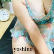 ヒメ日記 2025/06/17 07:25 投稿 吉野ひめか ワイフコレクション