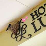 ヒメ日記 2025/05/12 21:11 投稿 かなの 完璧なるプロポーション Parfaite Luna☆(パルフェットルナ)