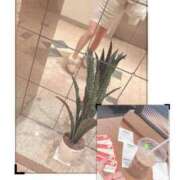 ヒメ日記 2024/12/11 13:28 投稿 ななか 熟女の風俗最終章 相模原店