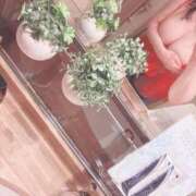 ヒメ日記 2026/03/12 15:33 投稿 ななか 熟女の風俗最終章 町田店