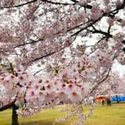 ヒメ日記 2024/12/27 11:46 投稿 ひまり マリン千姫