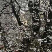 ヒメ日記 2026/03/29 14:33 投稿 瀧澤(たきざわ) 相模原人妻城