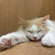 ヒメ日記 2025/09/29 23:51 投稿 ひびきちゃん ちょい！ぽちゃロリ倶楽部Hip's馬橋店