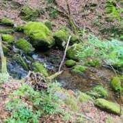 ヒメ日記 2025/06/05 19:06 投稿 かほ XSTASY（エクスタシー）