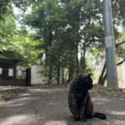 ヒメ日記 2024/07/12 13:37 投稿 新木 あなたに逢いたくて