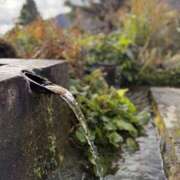 ヒメ日記 2024/12/12 22:57 投稿 新木 あなたに逢いたくて