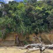 ヒメ日記 2024/12/17 22:17 投稿 新木 あなたに逢いたくて