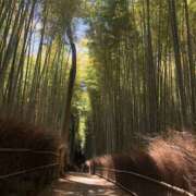 ヒメ日記 2024/12/19 23:07 投稿 新木 あなたに逢いたくて