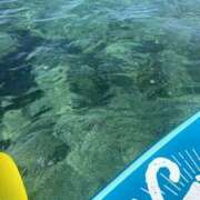 ヒメ日記 2024/12/27 22:47 投稿 新木 あなたに逢いたくて