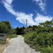 ヒメ日記 2025/01/09 22:17 投稿 新木 あなたに逢いたくて