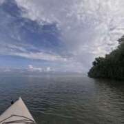 ヒメ日記 2025/01/10 22:07 投稿 新木 あなたに逢いたくて