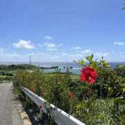 ヒメ日記 2025/02/14 22:07 投稿 新木 あなたに逢いたくて