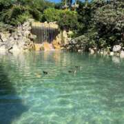 ヒメ日記 2025/02/20 22:07 投稿 新木 あなたに逢いたくて