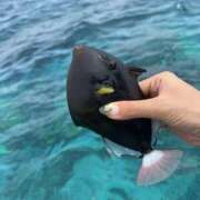 ヒメ日記 2025/02/27 22:07 投稿 新木 あなたに逢いたくて