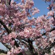 ヒメ日記 2025/03/03 22:07 投稿 新木 あなたに逢いたくて