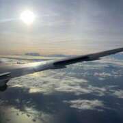 ヒメ日記 2025/03/12 12:07 投稿 新木 あなたに逢いたくて