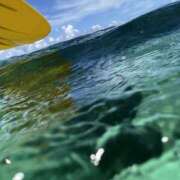 ヒメ日記 2025/03/14 08:27 投稿 新木 あなたに逢いたくて