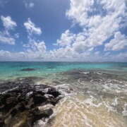 ヒメ日記 2025/03/19 08:07 投稿 新木 あなたに逢いたくて