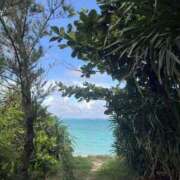 ヒメ日記 2025/03/24 23:17 投稿 新木 あなたに逢いたくて