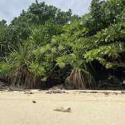 ヒメ日記 2025/03/26 10:37 投稿 新木 あなたに逢いたくて