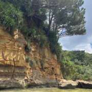 ヒメ日記 2025/03/29 10:17 投稿 新木 あなたに逢いたくて