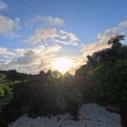 ヒメ日記 2025/04/01 10:17 投稿 新木 あなたに逢いたくて