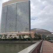 ヒメ日記 2025/04/17 09:37 投稿 新木 あなたに逢いたくて