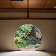 ヒメ日記 2025/05/14 06:07 投稿 新木 あなたに逢いたくて