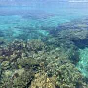 ヒメ日記 2025/05/15 22:57 投稿 新木 あなたに逢いたくて