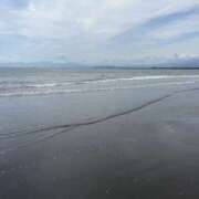 ヒメ日記 2025/05/25 16:47 投稿 新木 あなたに逢いたくて