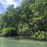 ヒメ日記 2025/05/26 22:07 投稿 新木 あなたに逢いたくて