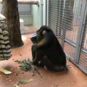 ヒメ日記 2025/06/07 08:07 投稿 新木 あなたに逢いたくて