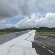 ヒメ日記 2025/06/12 08:07 投稿 新木 あなたに逢いたくて