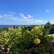 ヒメ日記 2025/06/25 23:07 投稿 新木 あなたに逢いたくて